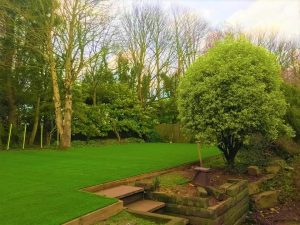 Artificial Grass Maintenance