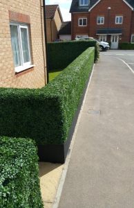 Artificial Green Walls