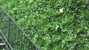 Artificial Green Walls